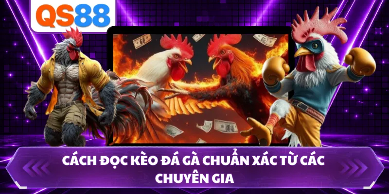 Cách đọc kèo đá gà chuẩn xác từ các chuyên gia